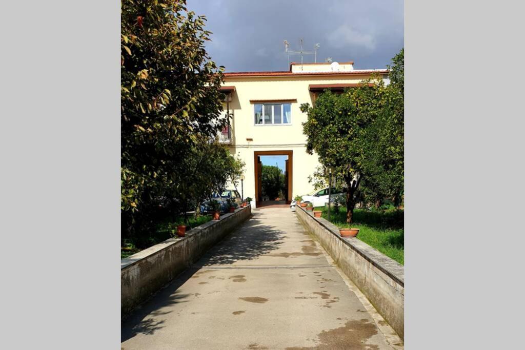 Appartamento In Villa Alle Falde Del Vesuvio Napoli Ngoại thất bức ảnh